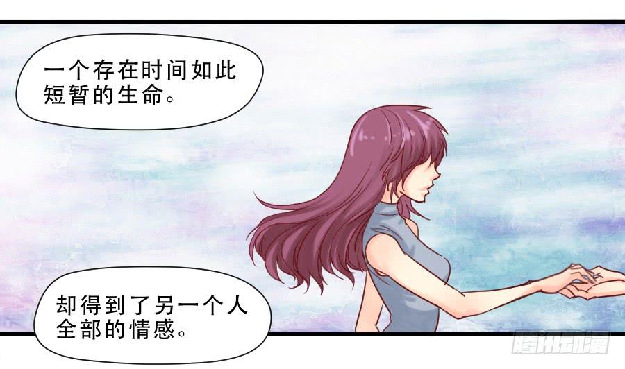 《禁忌的双子》思念成终 第15页