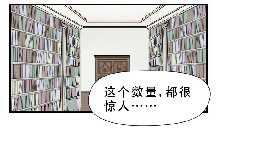 《禁忌的双子》交锋 第27页