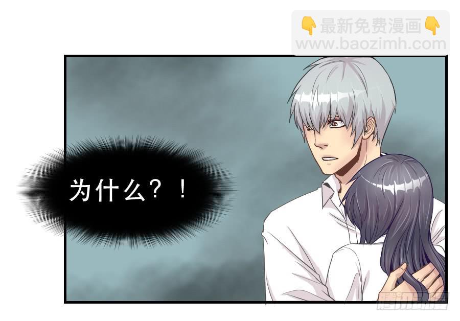 《禁忌的双子》假面美人 第33页