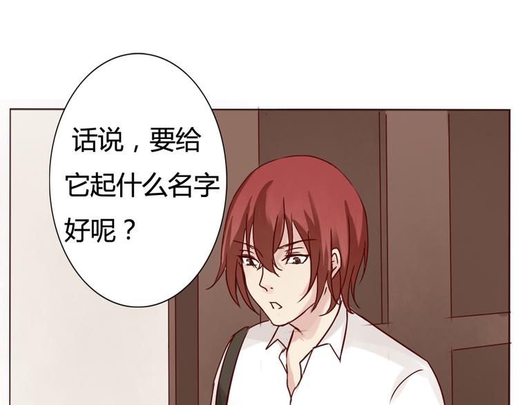 《这个狐仙不靠谱》第9话 如何赶走那个家伙 第29页