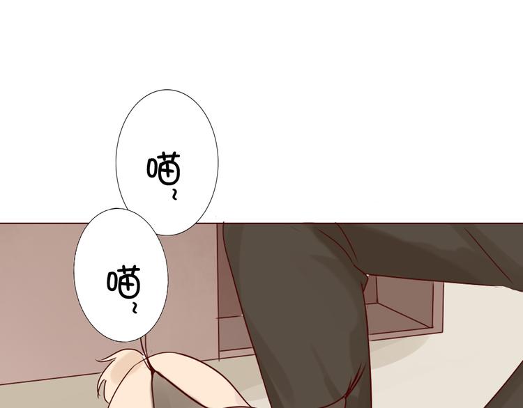 《这个狐仙不靠谱》第9话 如何赶走那个家伙 第41页