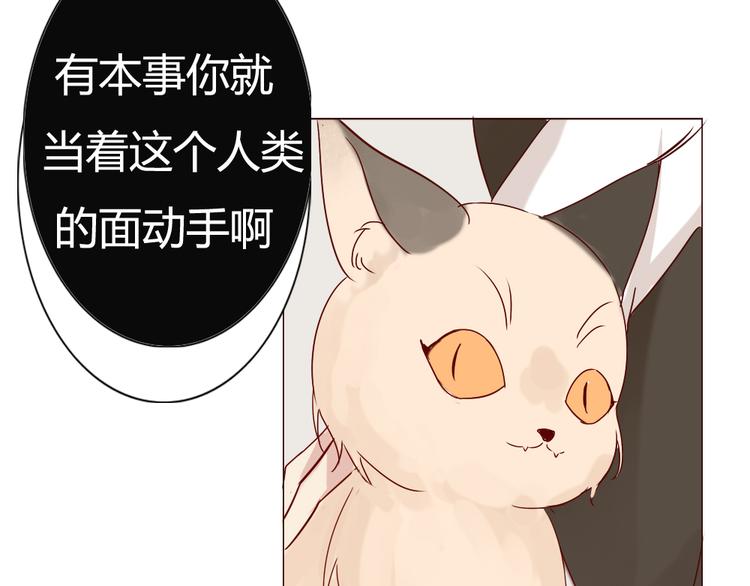 《这个狐仙不靠谱》第9话 如何赶走那个家伙 第50页