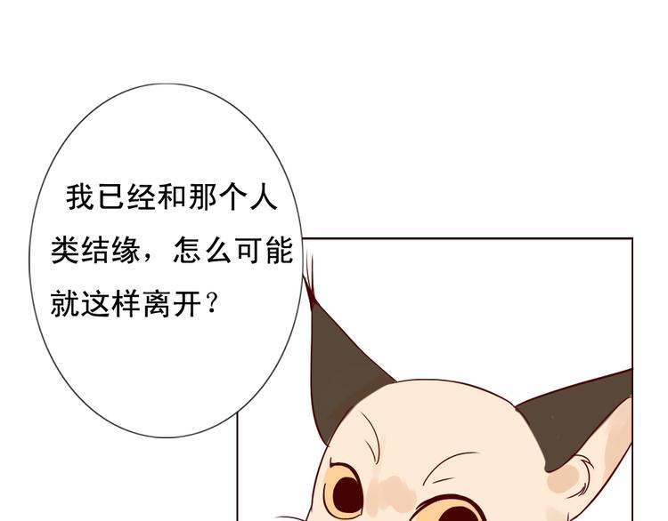 《这个狐仙不靠谱》第10话 好久不见 想不想我 第14页