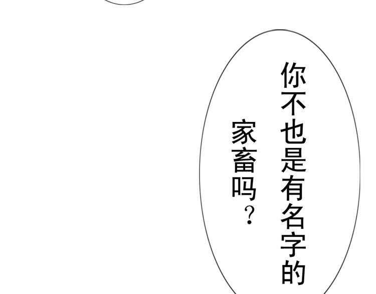 《这个狐仙不靠谱》第10话 好久不见 想不想我 第26页