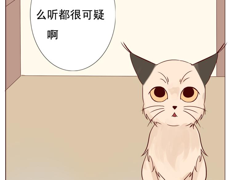 《这个狐仙不靠谱》第10话 好久不见 想不想我 第38页