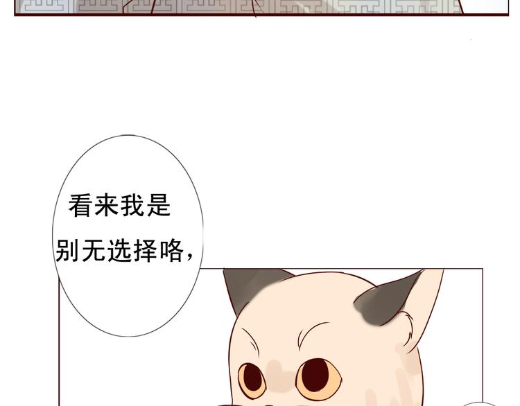 《这个狐仙不靠谱》第10话 好久不见 想不想我 第41页