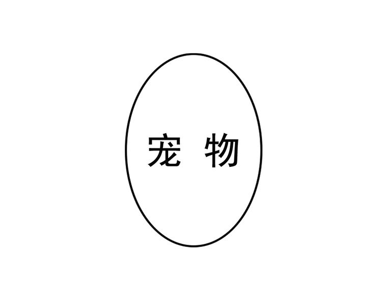 《这个狐仙不靠谱》第12话 这家伙是我的宠物 第3页
