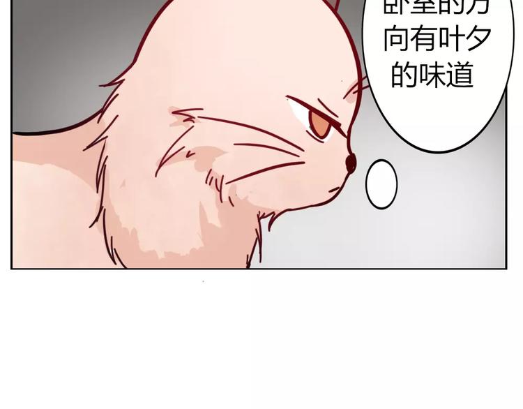 《这个狐仙不靠谱》第36话 我不会丢下你 第5页