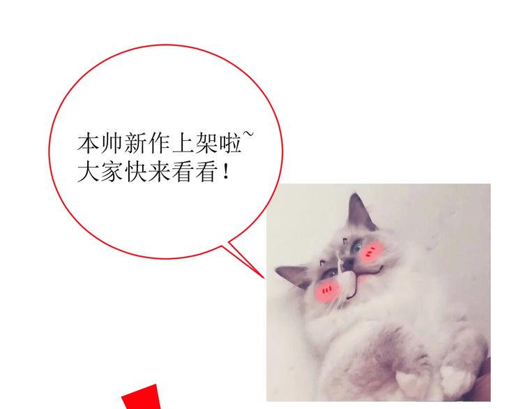 《美男法则》新作上线 美男抽卡游戏 第1页