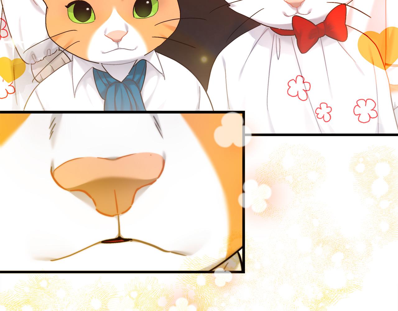 《穿越后男主们被我掰直了》第31话 猫人搓澡 第12页