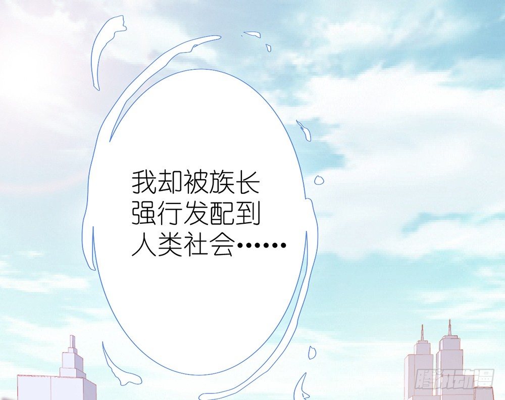 《我的锦鲤少女》chapter·001 第23页