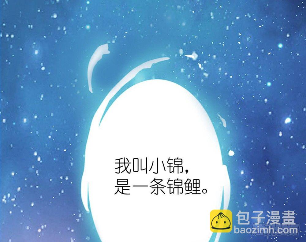 《我的锦鲤少女》chapter·001 第2页