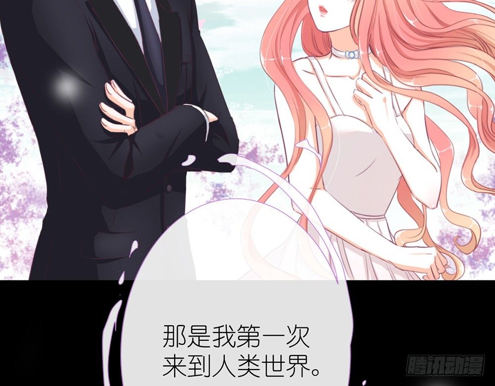 《我的锦鲤少女》chapter·001 第49页