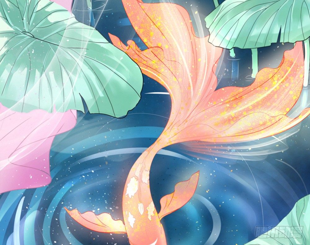 《我的锦鲤少女》chapter·001 第6页