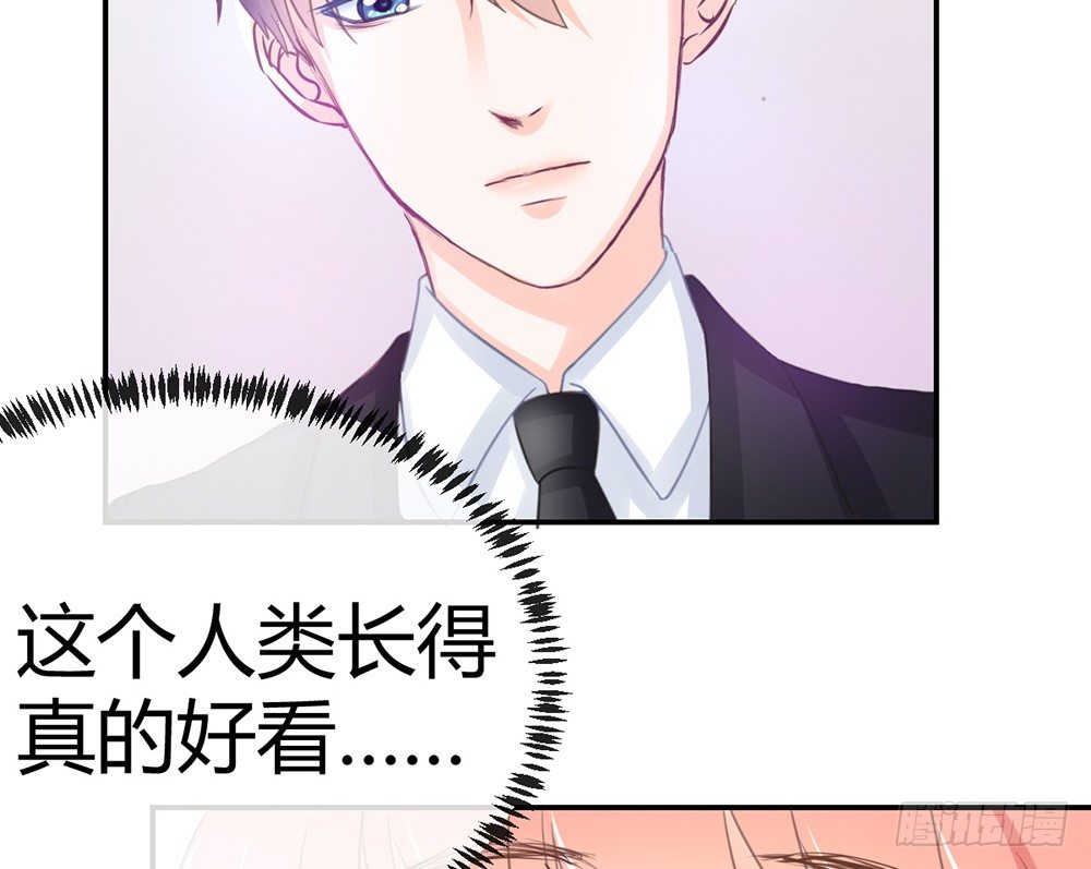 《我的锦鲤少女》chapter·005 第10页