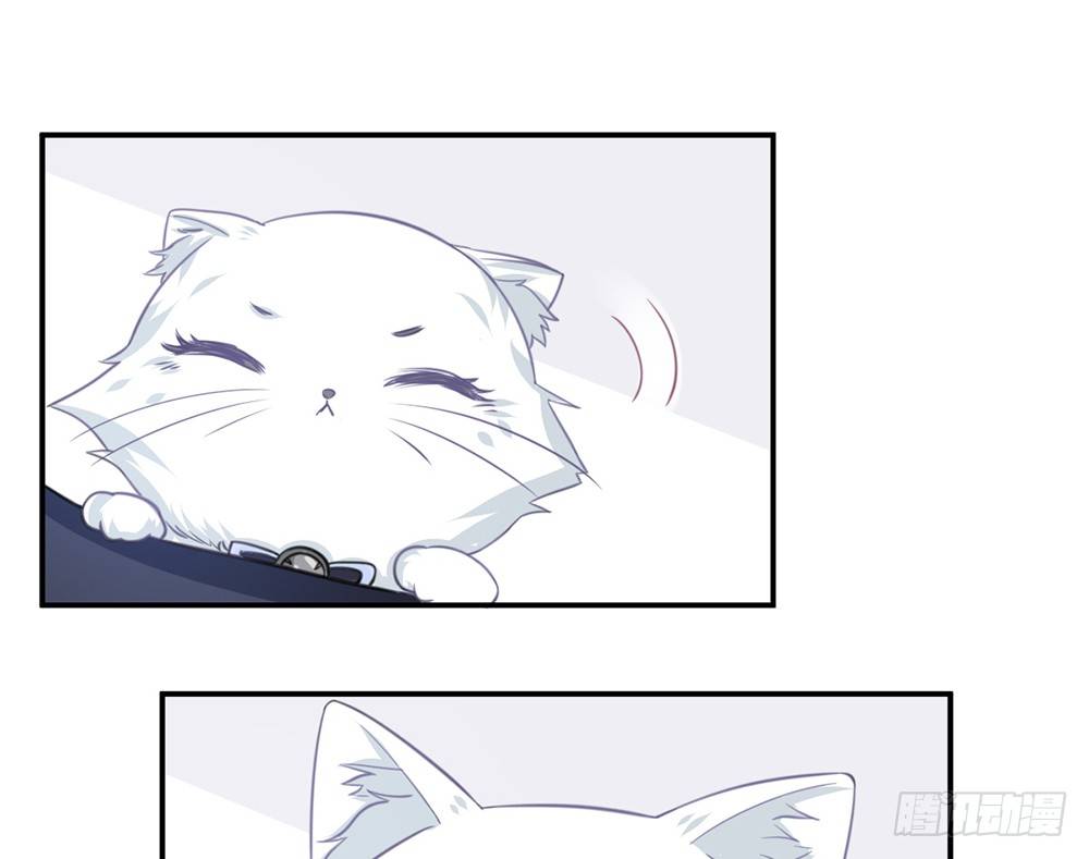 《我的锦鲤少女》chapter·005 第30页