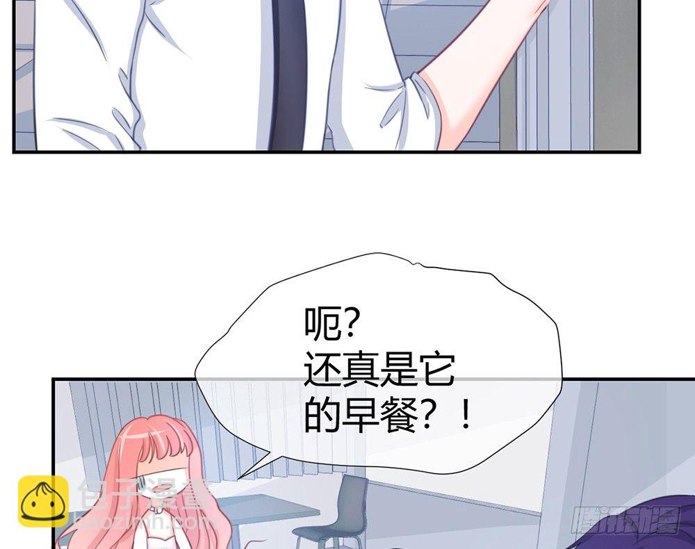 《我的锦鲤少女》chapter·005 第47页
