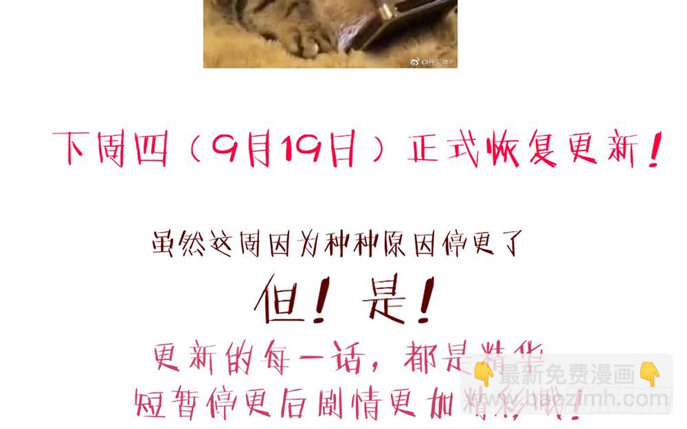 《我的锦鲤少女》chapter·104 第3页