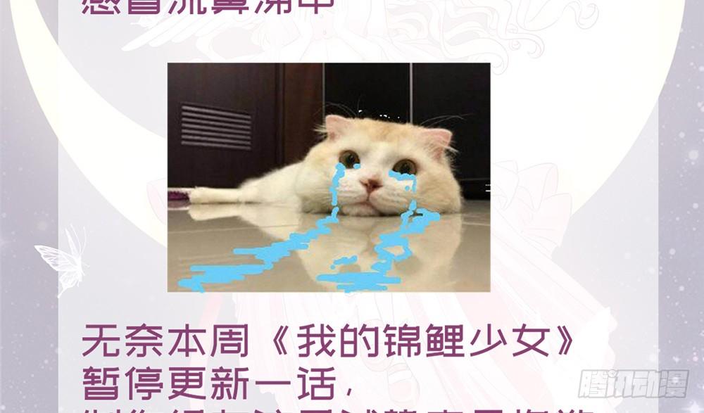 《我的锦鲤少女》请假条！ 第2页