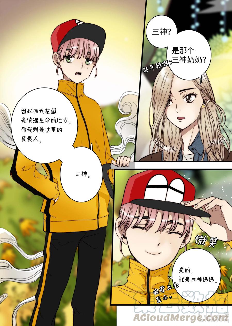 《单膝下跪求你吃掉我》45 冥界之花 第27页