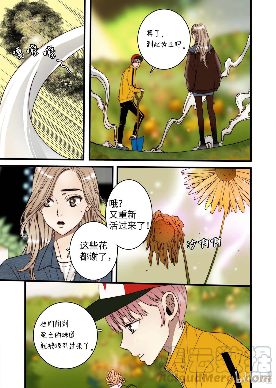 《单膝下跪求你吃掉我》46 毁灭世界的花 第15页