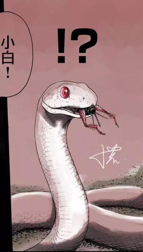 《金田一少年之事件簿R》白蛇酒窖03 第1页