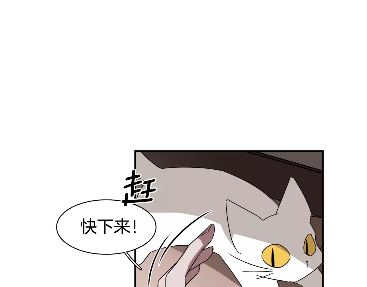 《在梦里，我爱你》第42话 流浪猫的牵引 第13页