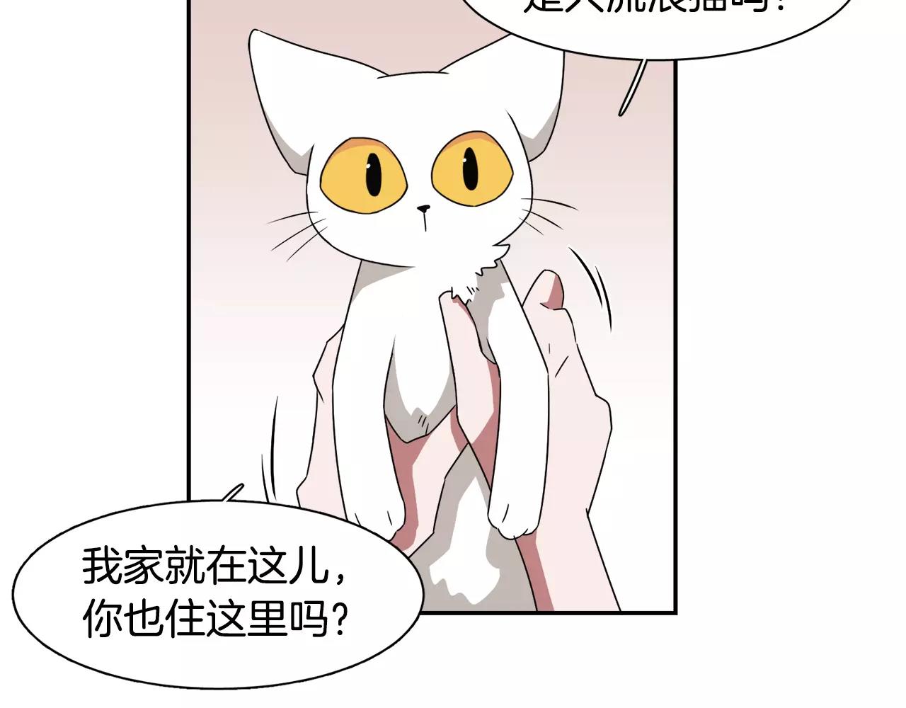 《在梦里，我爱你》第42话 流浪猫的牵引 第26页