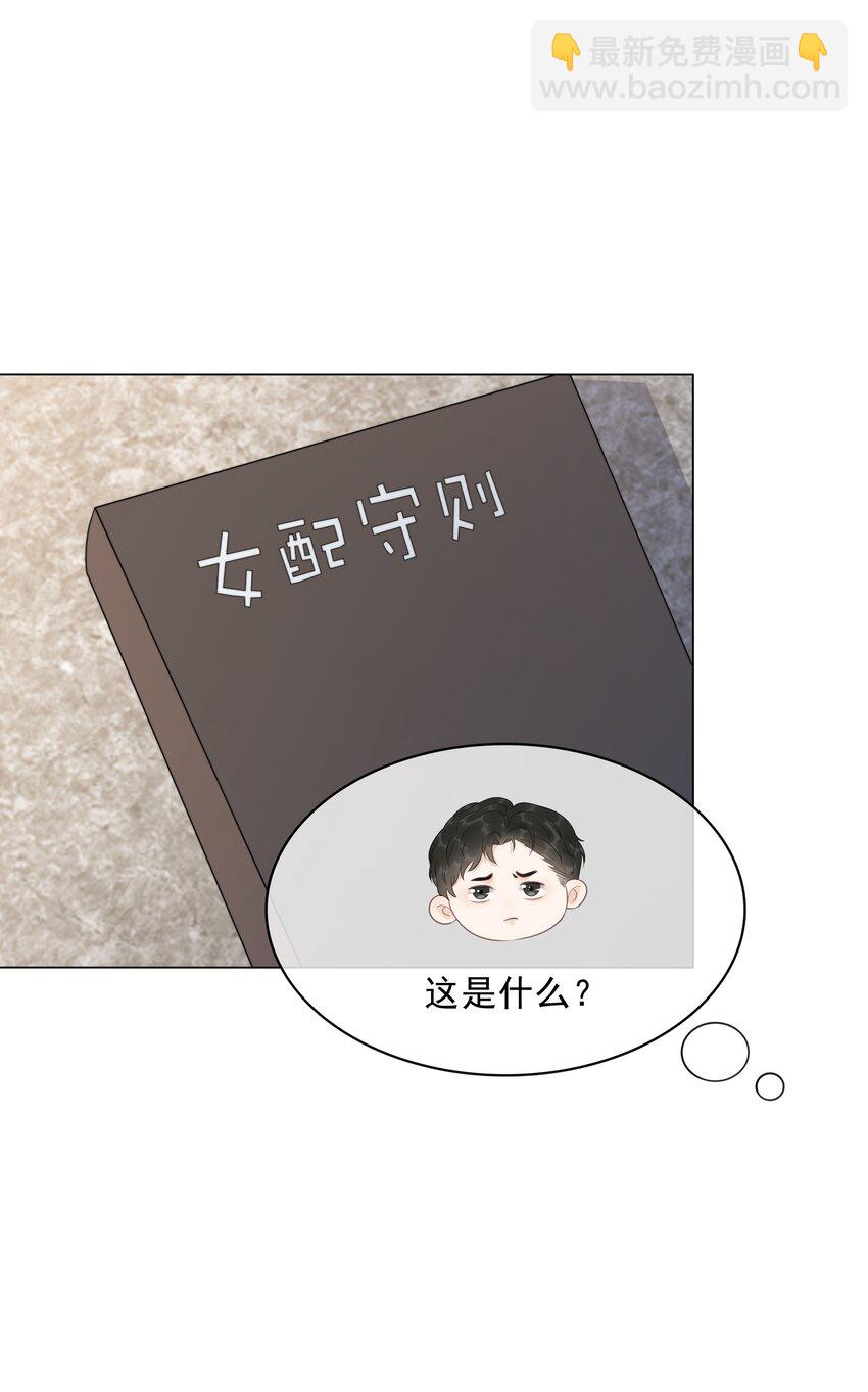 《穿书女配只想当咸鱼》033 女配守则 第9页