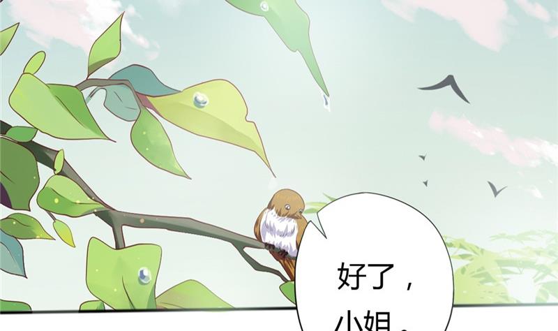 《穿越女总想抢我夫君》第3话 重来与拯救 第46页