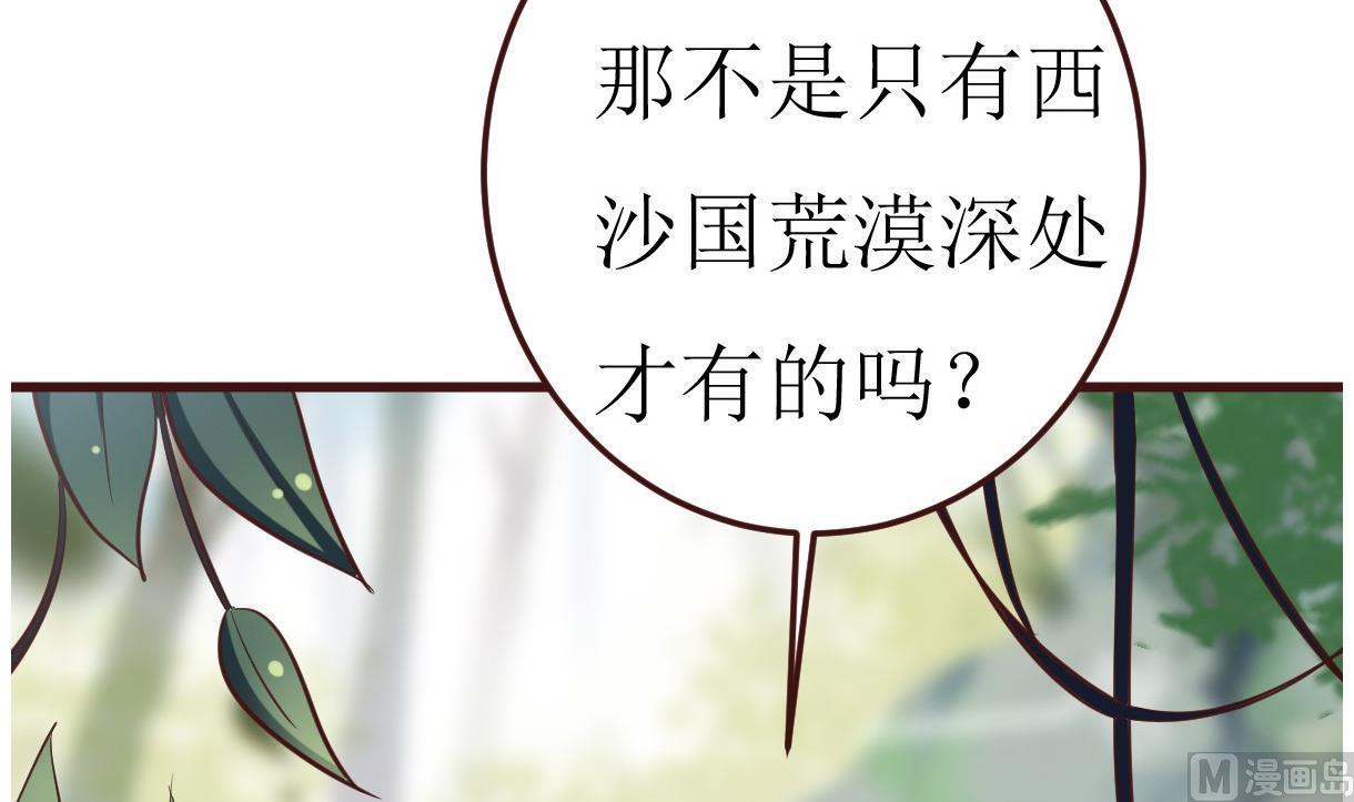 《穿越女总想抢我夫君》第51话 复活卡 第13页