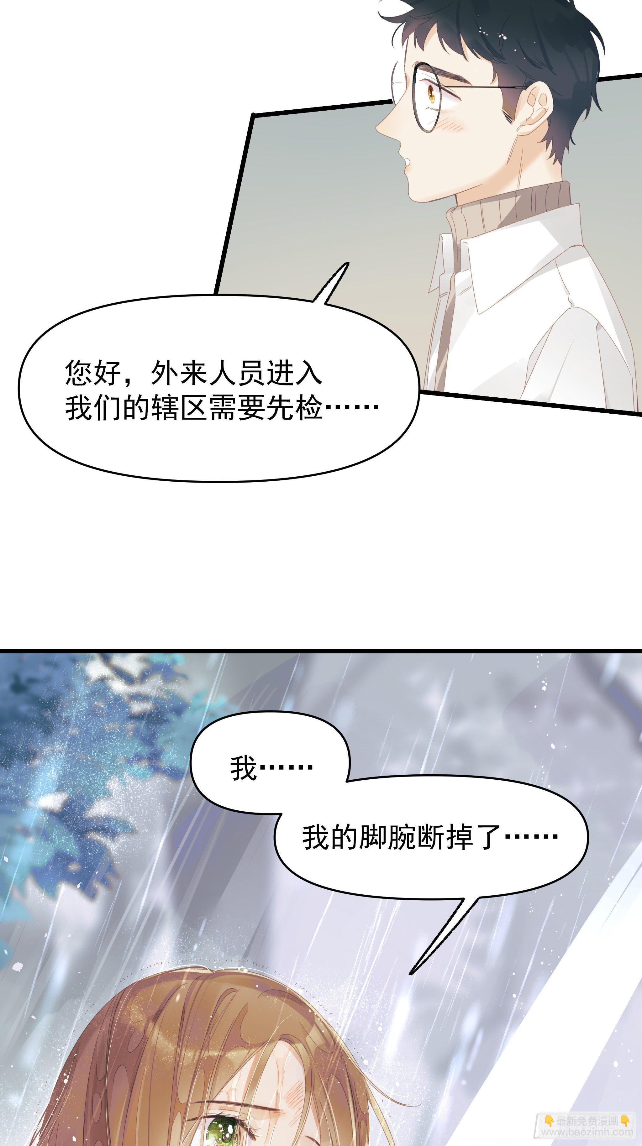 《种子与十日十夜》善意与谎言 第11页