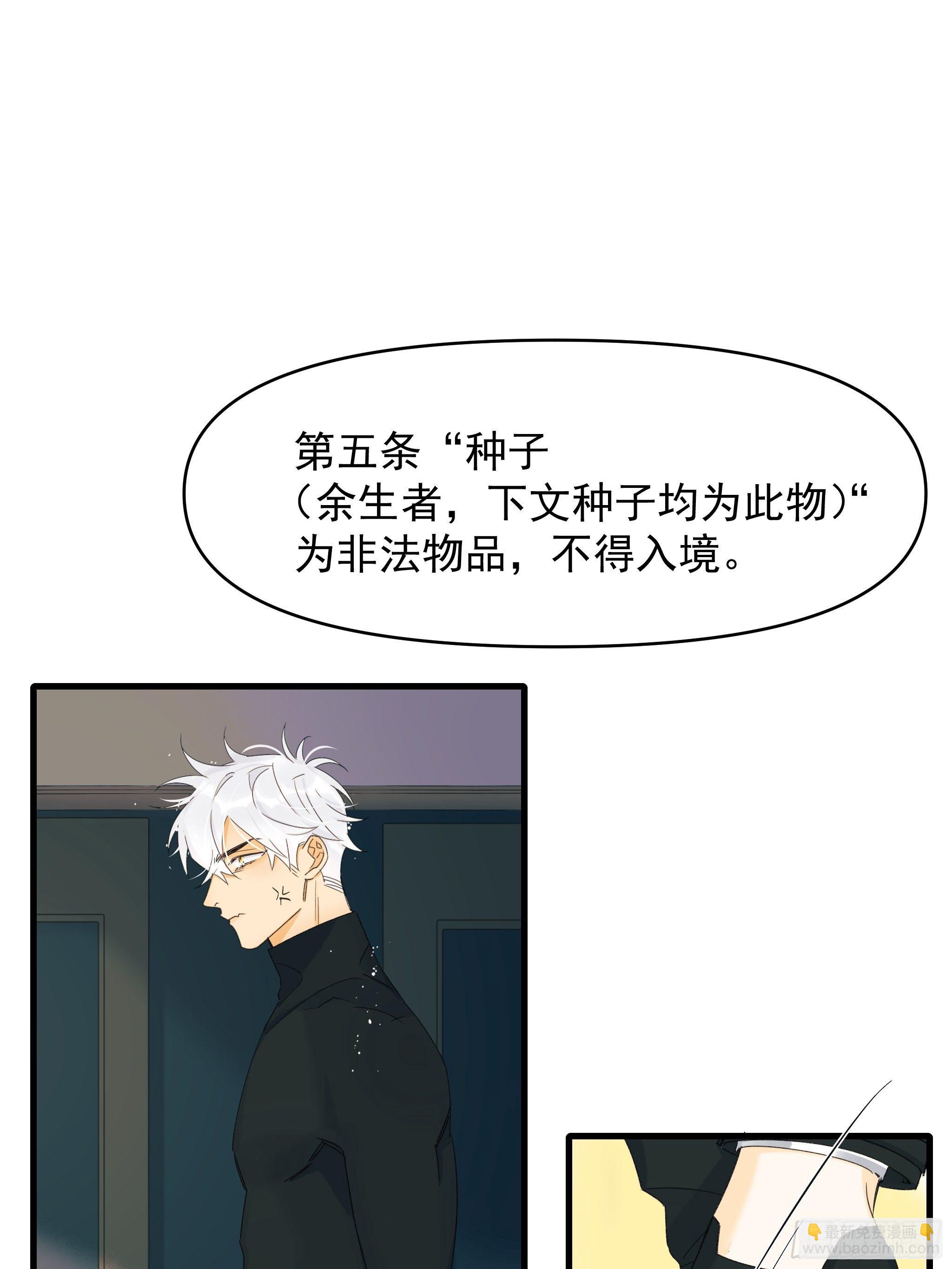 《种子与十日十夜》灾难与偏见 第26页