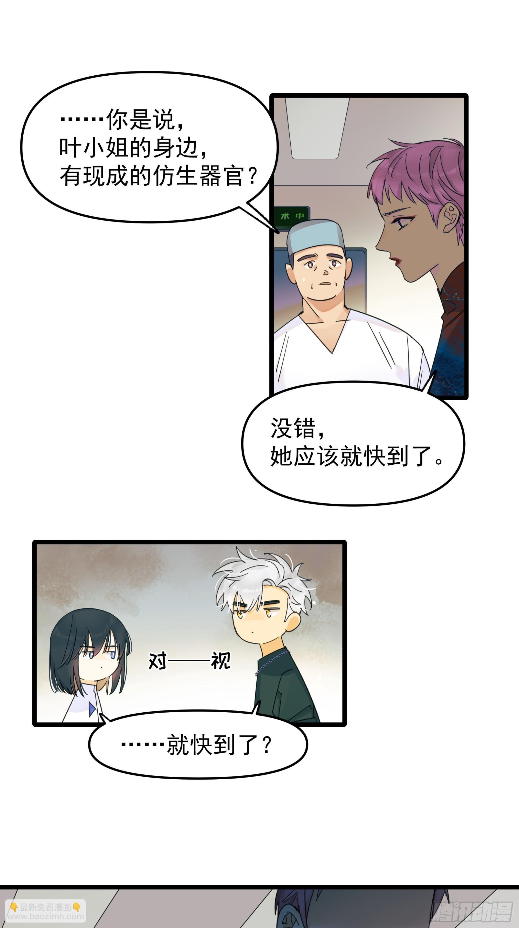《种子与十日十夜》子弹 第2页