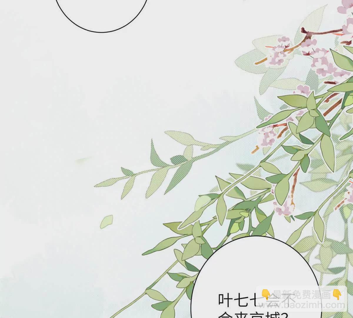 《萌妃七七》12 京城四大公子 第11页