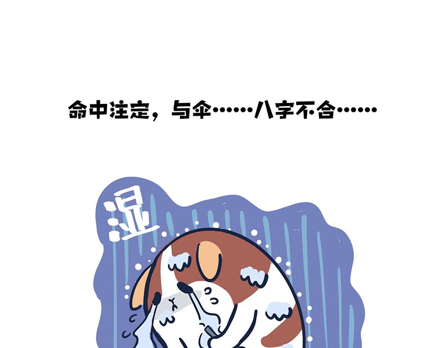 《动物大涩会》大夏天的糟心事儿（上） 第12页