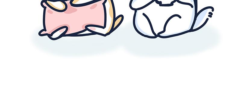 《动物大涩会》爱的魔力转圈圈 第3页