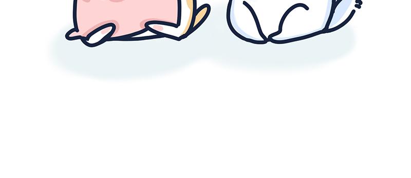 《动物大涩会》爱的魔力转圈圈 第5页