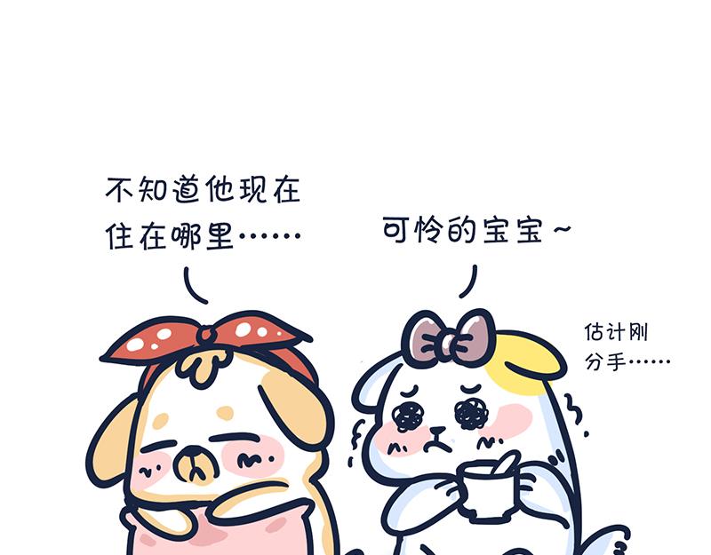 《动物大涩会》爱的魔力转圈圈 第8页