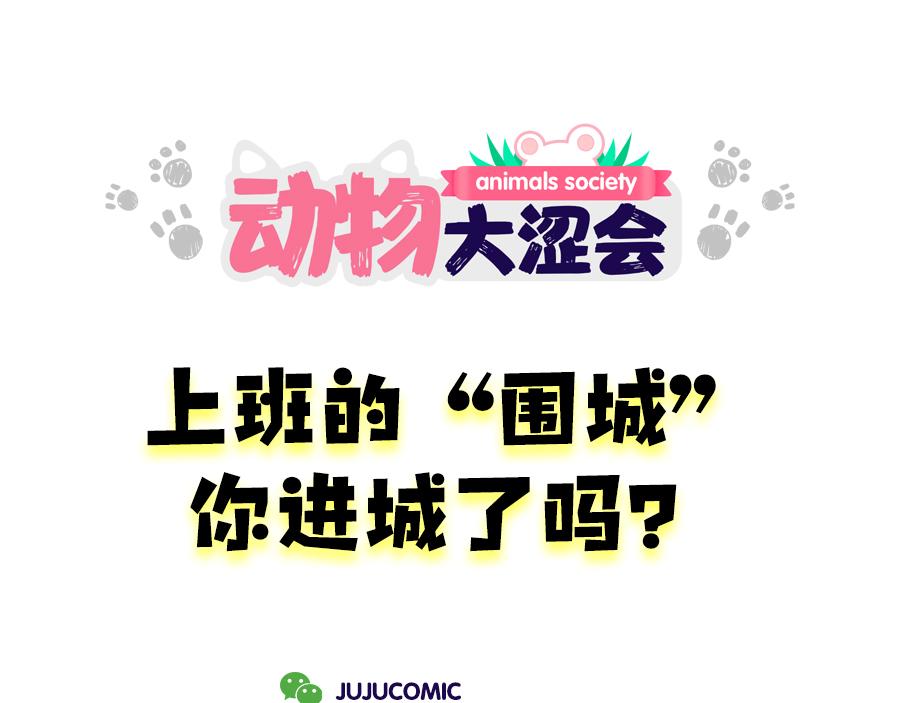 《动物大涩会》老妈放眼看时间&复工啦！ 第23页