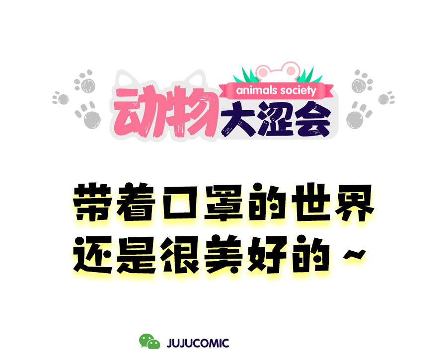 《动物大涩会》带口罩是美好的&关于动物森友会 第1页
