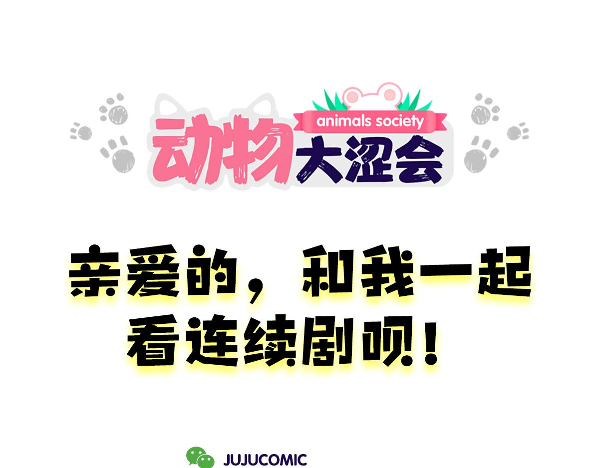 《动物大涩会》亲爱的，一起看剧吧！ 第1页