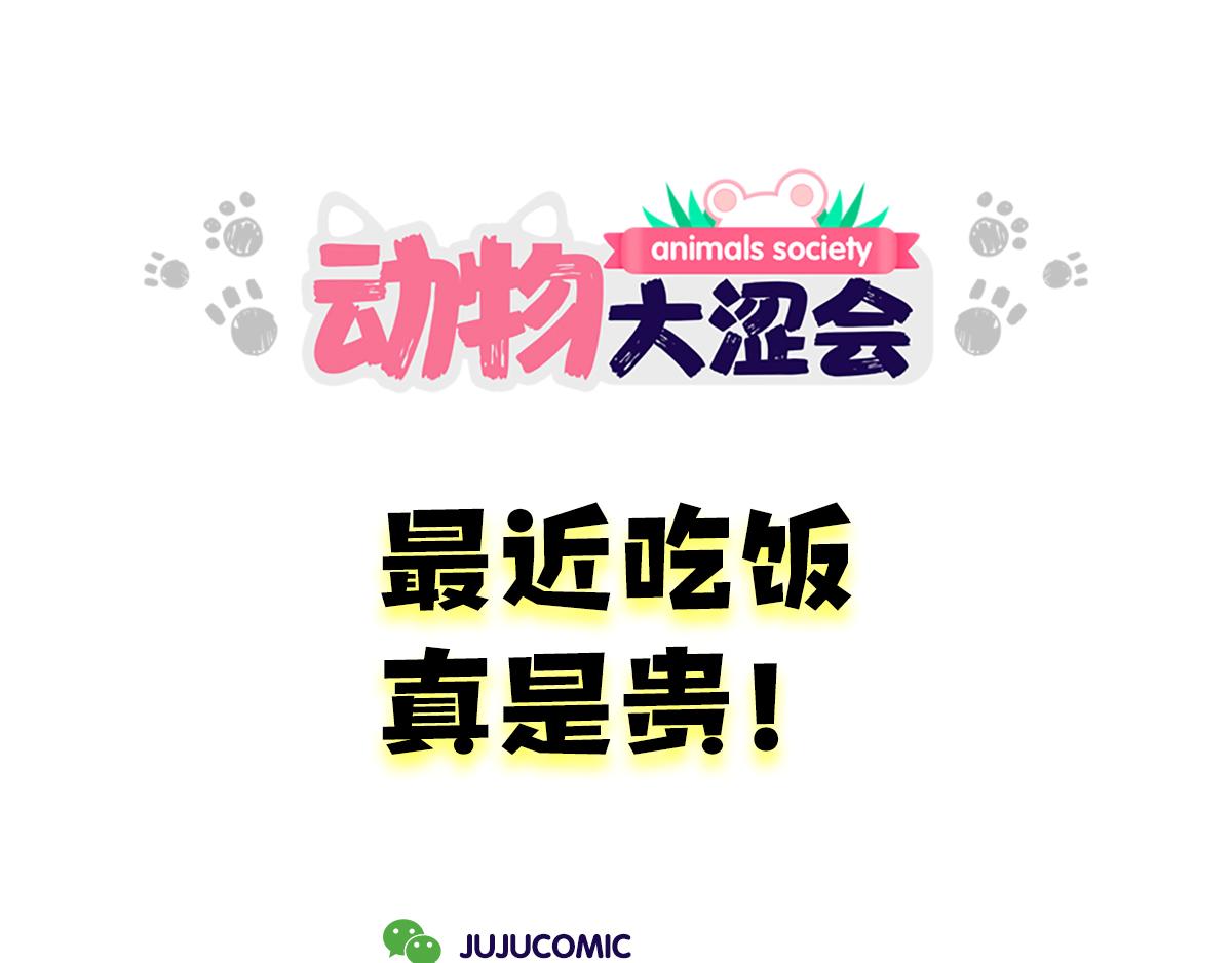 《动物大涩会》吃饭真是贵&烧菜有什么难的 第1页