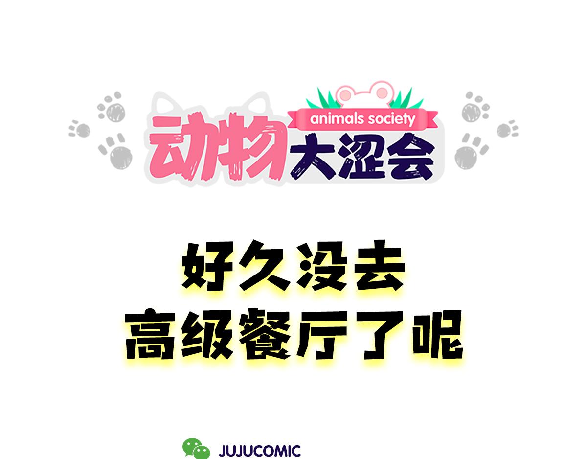 《动物大涩会》好想去高级餐厅&妈妈养你一辈 第1页