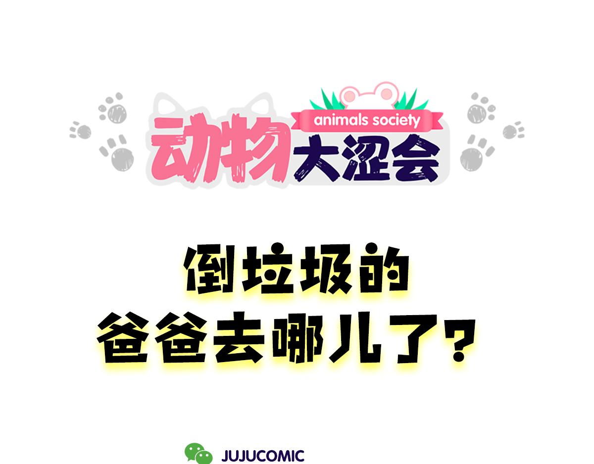 《动物大涩会》爸爸去哪儿了&女人的运动 第1页