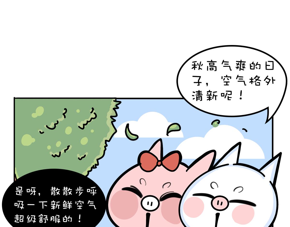 《动物大涩会》一个恐怖的故事&跟巴菲特炒股 第1页