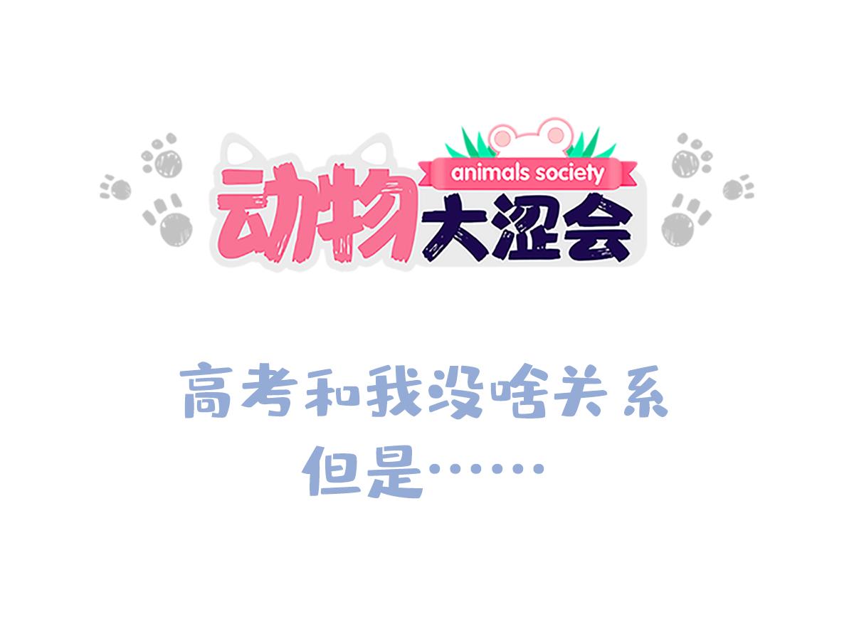 《动物大涩会》高考和我没啥关系，但是…… 第27页