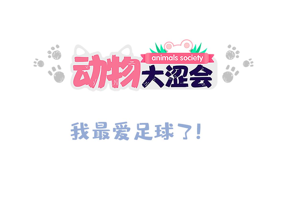 《动物大涩会》我最爱足球了 第17页