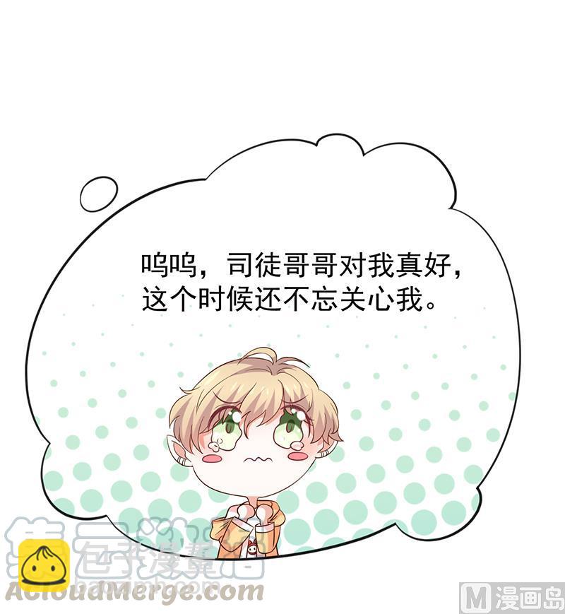 《我与吸血鬼偶像同居的日子》第41话马上对我产生爱慕 第5页