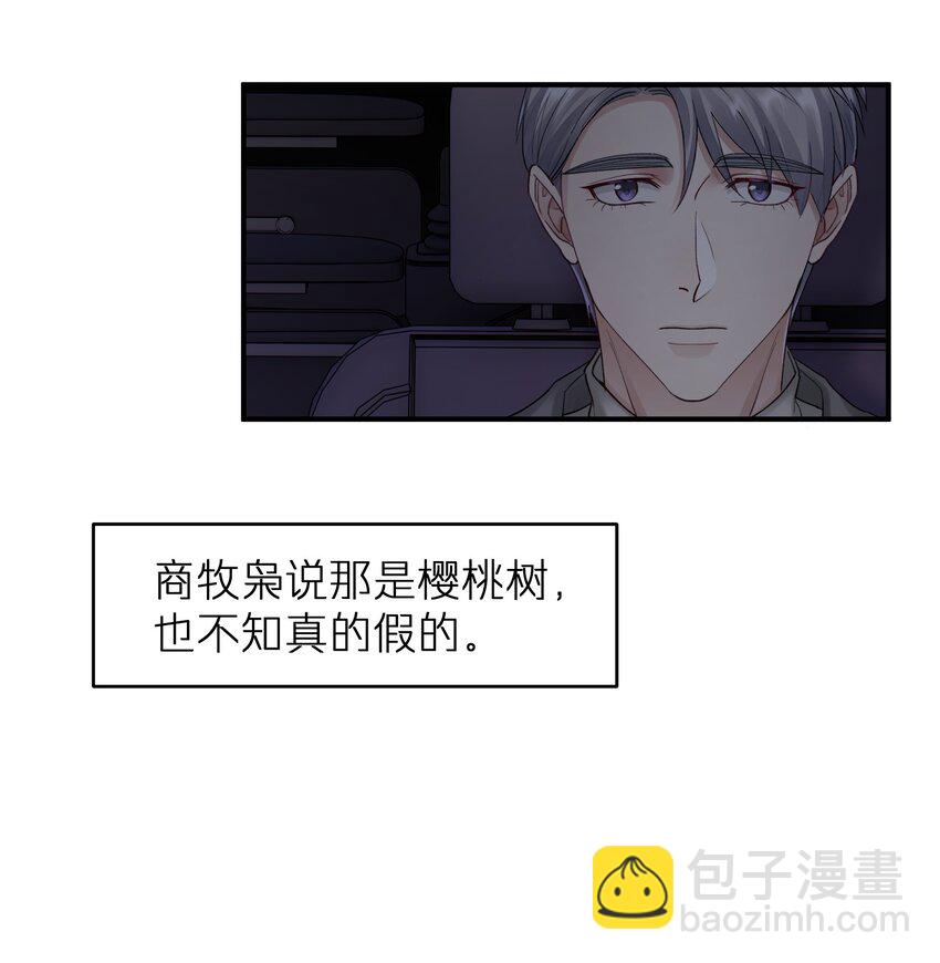 《烧不尽》第17章 只是尘埃 第12页